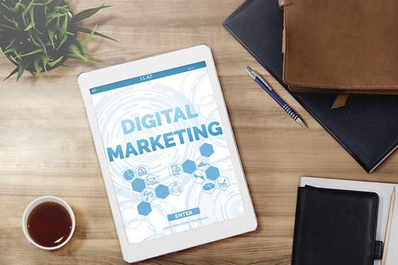 My Portfolio: Reinforce your Digital Presence - OptiWeb Marketing