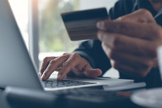 My Portfolio: WordPress E-commerce Development Services in Montreal